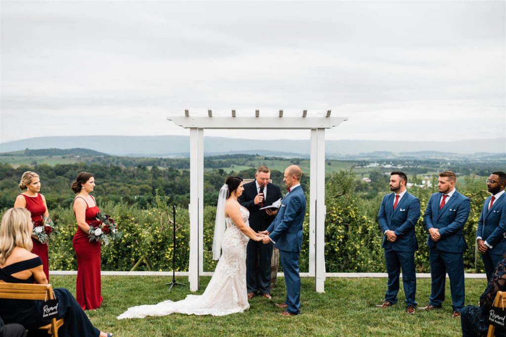 bride and groom standing together under an arbor for their wedding ceremony at a vineyard in Virginia with Charlottesville wedding photographer