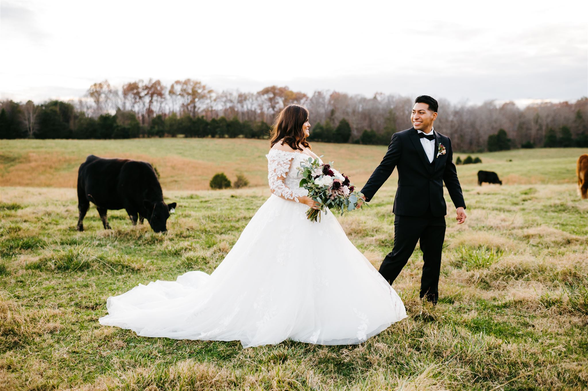 Shenandoah wedding at farm wedding venue with bride and groom holding hands as the groom leads them through a field full of black cows captured by Charlottesville wedding photographer